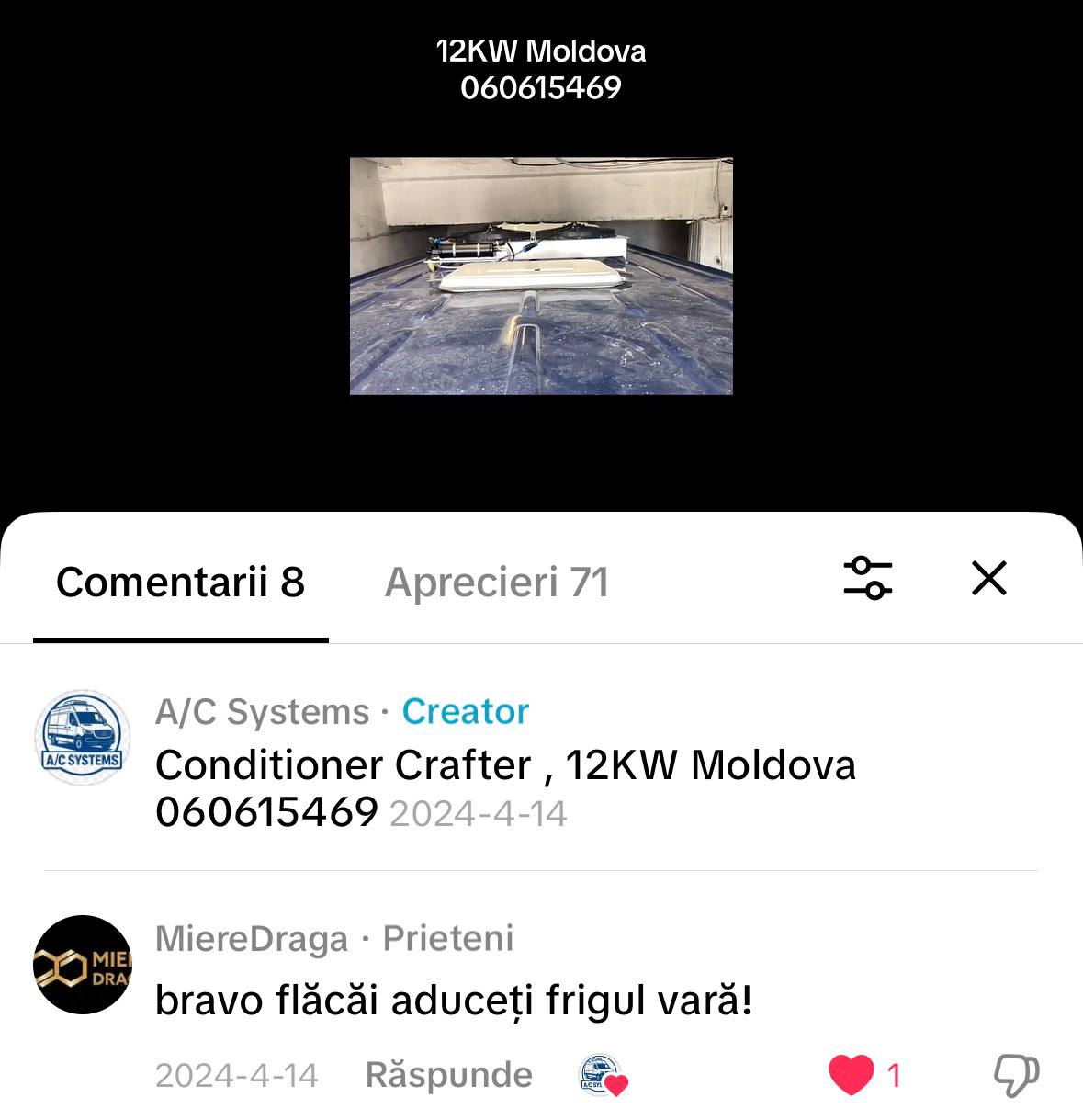 Recenzie 6